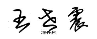 朱錫榮王世震草書個性簽名怎么寫