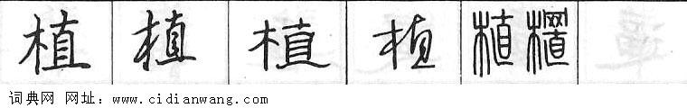 鋼筆字典