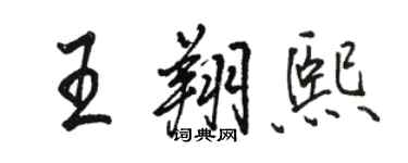 駱恆光王翔熙行書個性簽名怎么寫