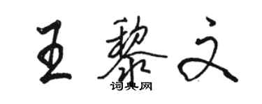 駱恆光王黎文行書個性簽名怎么寫