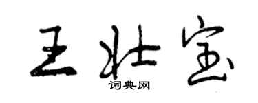 曾慶福王壯寶行書個性簽名怎么寫