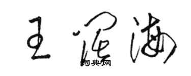 駱恆光王闊海草書個性簽名怎么寫