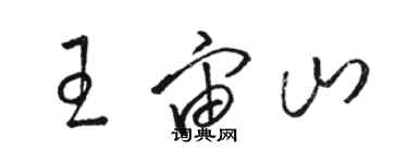 駱恆光王宙山草書個性簽名怎么寫