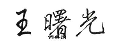 駱恆光王曙光行書個性簽名怎么寫