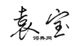 駱恆光袁寶行書個性簽名怎么寫