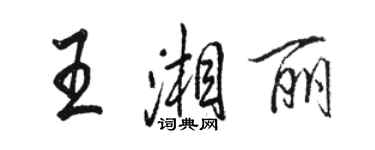 駱恆光王湘麗行書個性簽名怎么寫