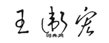 駱恆光王衛宏草書個性簽名怎么寫