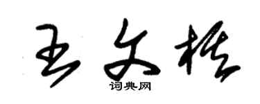 朱錫榮王文棋草書個性簽名怎么寫