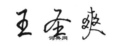 駱恆光王聖爽行書個性簽名怎么寫