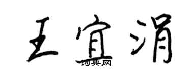 王正良王宜涓行書個性簽名怎么寫