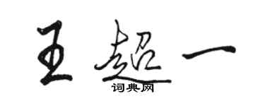 駱恆光王超一行書個性簽名怎么寫