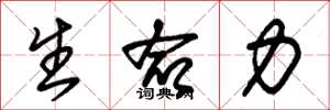 朱錫榮生命力草書怎么寫