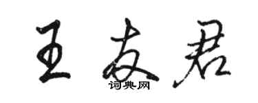 駱恆光王友君行書個性簽名怎么寫