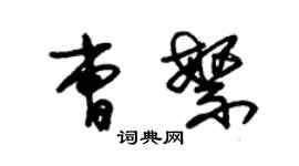 朱錫榮曹繁草書個性簽名怎么寫