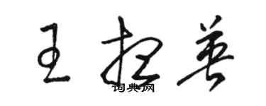 駱恆光王想英草書個性簽名怎么寫