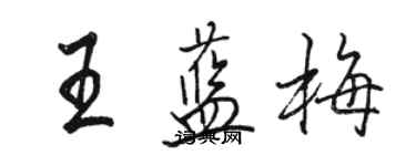 駱恆光王藍梅行書個性簽名怎么寫