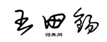 朱錫榮王田錫草書個性簽名怎么寫