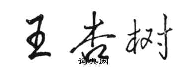 駱恆光王杏樹行書個性簽名怎么寫