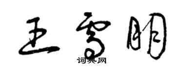 曾慶福王雪朋草書個性簽名怎么寫