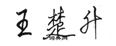 駱恆光王楚升行書個性簽名怎么寫