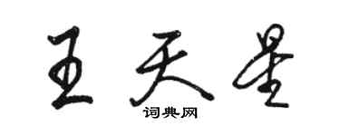 駱恆光王天星行書個性簽名怎么寫