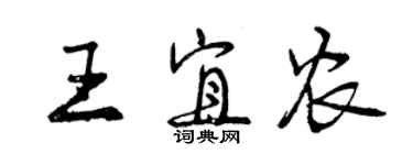 曾慶福王宜農行書個性簽名怎么寫