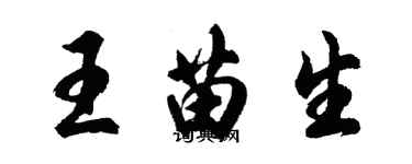 胡問遂王苗生行書個性簽名怎么寫