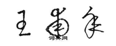 駱恆光王甫年草書個性簽名怎么寫