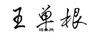 駱恆光王單根行書個性簽名怎么寫