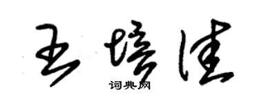 朱錫榮王培佳草書個性簽名怎么寫