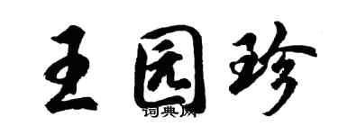 胡問遂王園珍行書個性簽名怎么寫