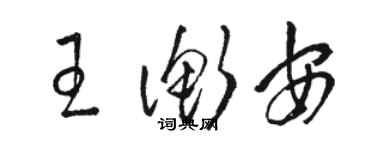 駱恆光王衡安草書個性簽名怎么寫