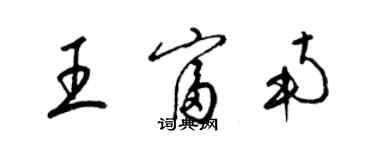 梁錦英王富南草書個性簽名怎么寫