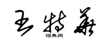 朱錫榮王特華草書個性簽名怎么寫