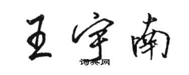 駱恆光王宇南行書個性簽名怎么寫