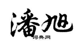 胡問遂潘旭行書個性簽名怎么寫