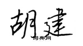 王正良胡建行書個性簽名怎么寫