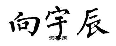 翁闓運向宇辰楷書個性簽名怎么寫