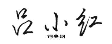 駱恆光呂小紅行書個性簽名怎么寫