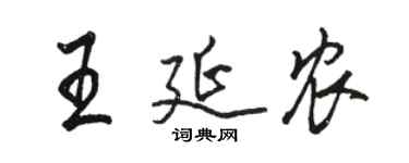 駱恆光王延農行書個性簽名怎么寫