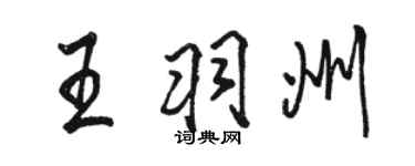 駱恆光王羽州行書個性簽名怎么寫