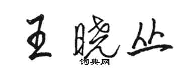 駱恆光王曉叢行書個性簽名怎么寫