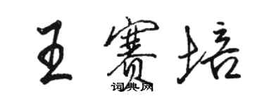 駱恆光王賽培行書個性簽名怎么寫