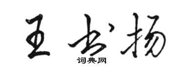 駱恆光王書揚行書個性簽名怎么寫