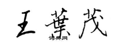 王正良王葉茂行書個性簽名怎么寫