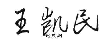 駱恆光王凱民行書個性簽名怎么寫