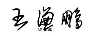 朱錫榮王謙鵬草書個性簽名怎么寫