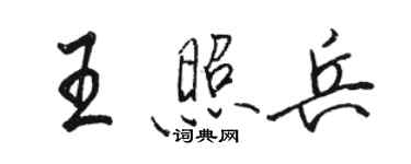 駱恆光王照兵行書個性簽名怎么寫