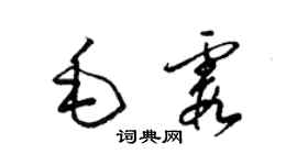 梁錦英毛霞草書個性簽名怎么寫