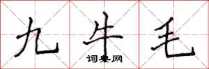 侯登峰九牛毛楷書怎么寫